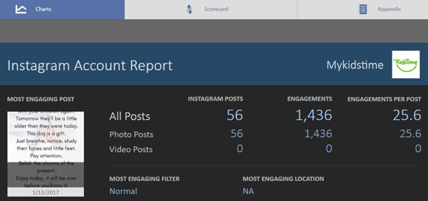 MONITORAGGIO INSTAGRAM: report-simply-measured