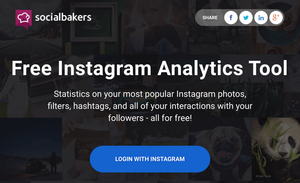 MONITORAGGIO INSTAGRAM: socialbakers