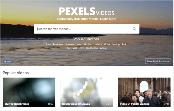 Linkedin video ads: Pexels video