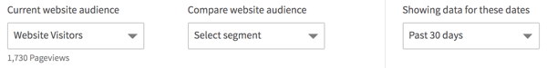 dati per tutti i visitatori del tuo sito web o per segmenti di pubblico specifici