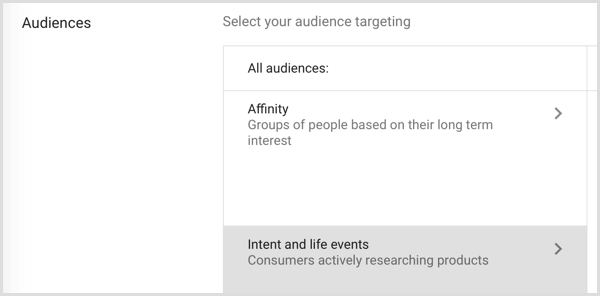 Adwords Google targeting per pubblico