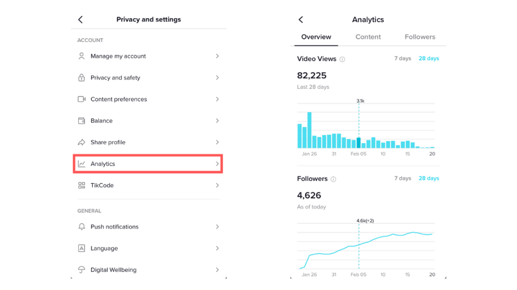 sezione statistiche tiktok