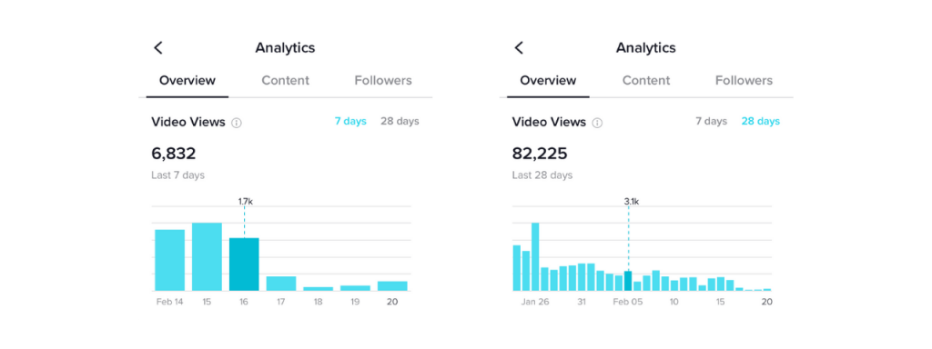 tiktok analytics sezione panoramica