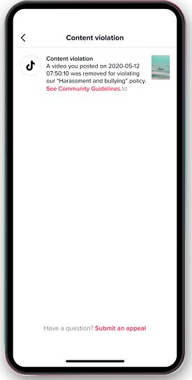 tiktok video violazione